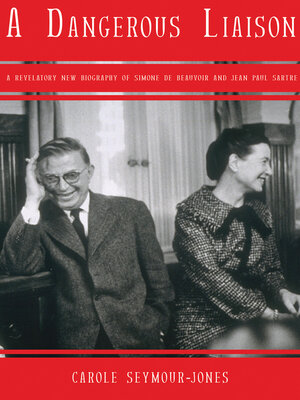 cover image of A Dangerous Liaison